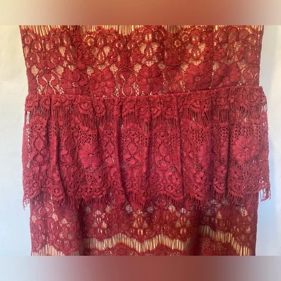 Anthropologie Elsa Peplum Dress Burgundy Lace Size SMALL - Picture 6 of 12
